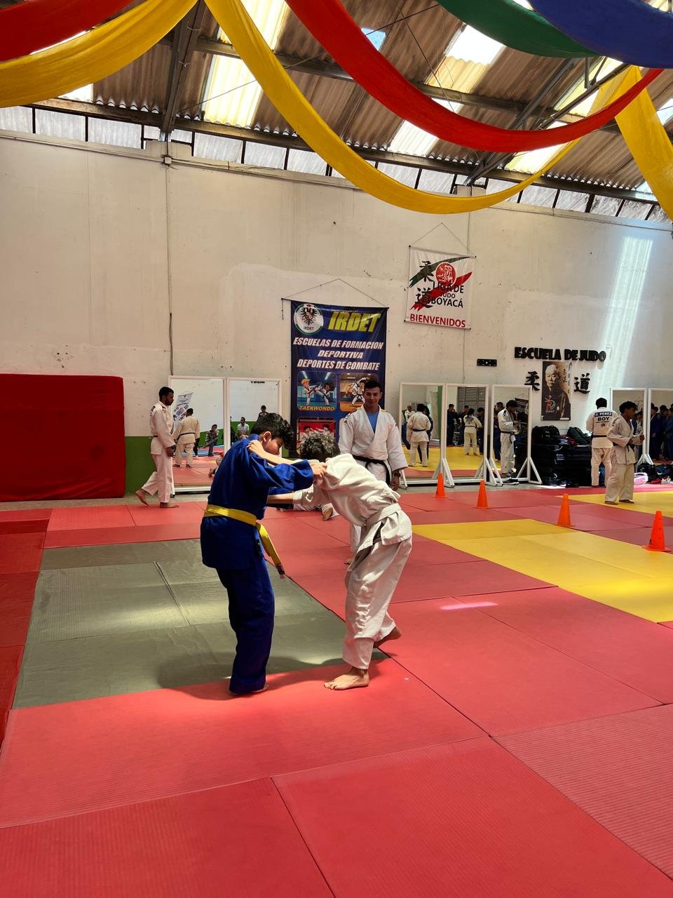 Festival infantil judo