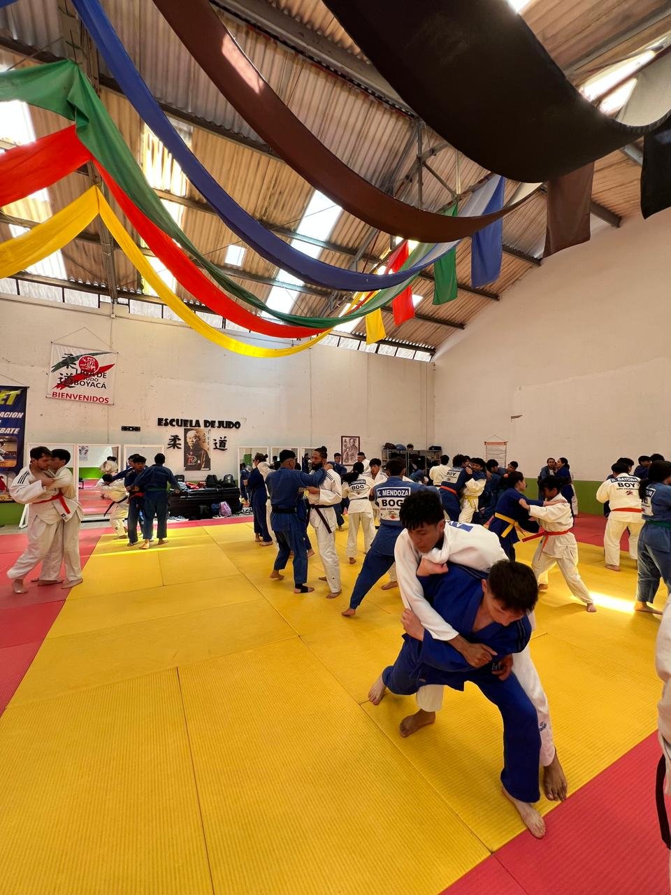 Junta Directiva febrero